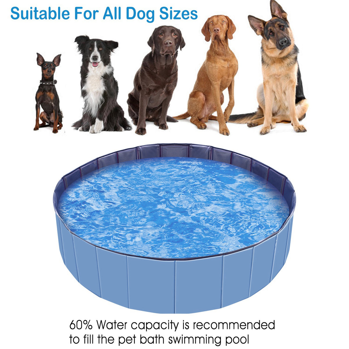 Foldable PVC Pet Swimming Pool