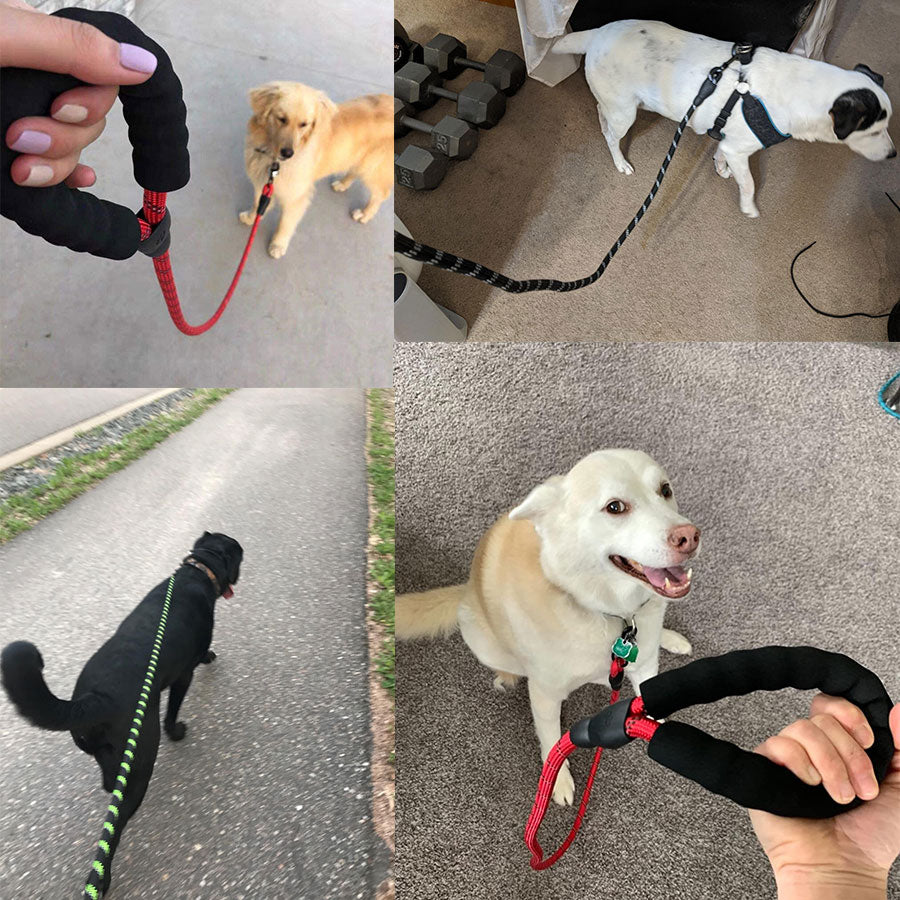 Reflective Nylon Dog Leash