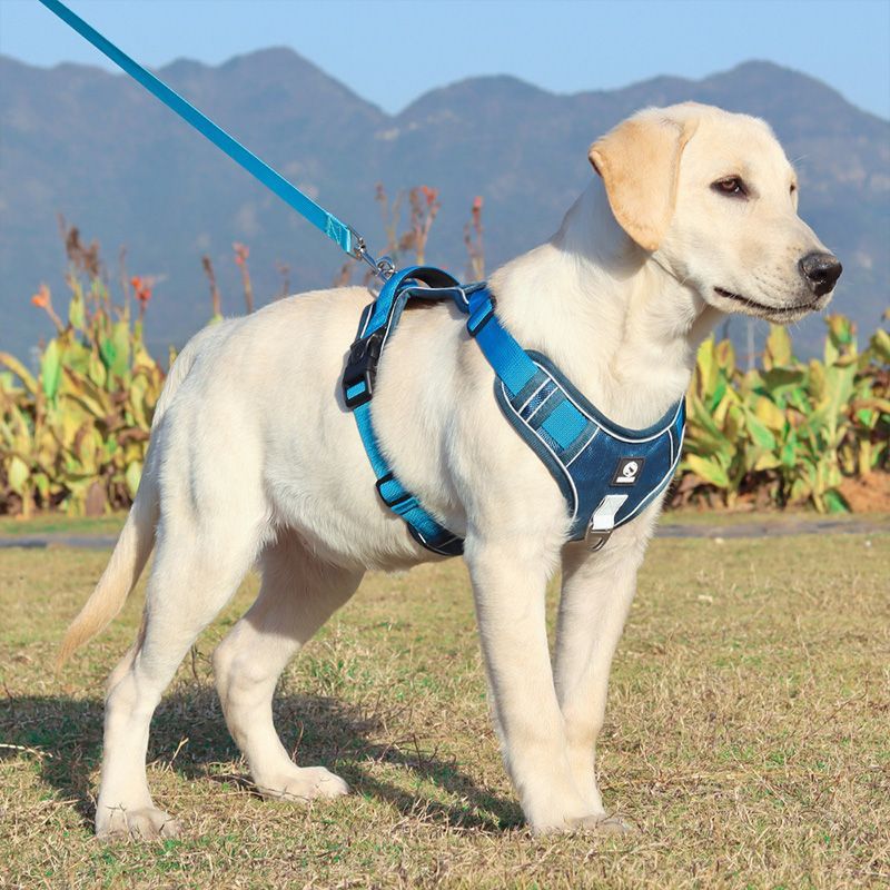 Explosion-Proof Chest Strap Medium Large Dog Vest