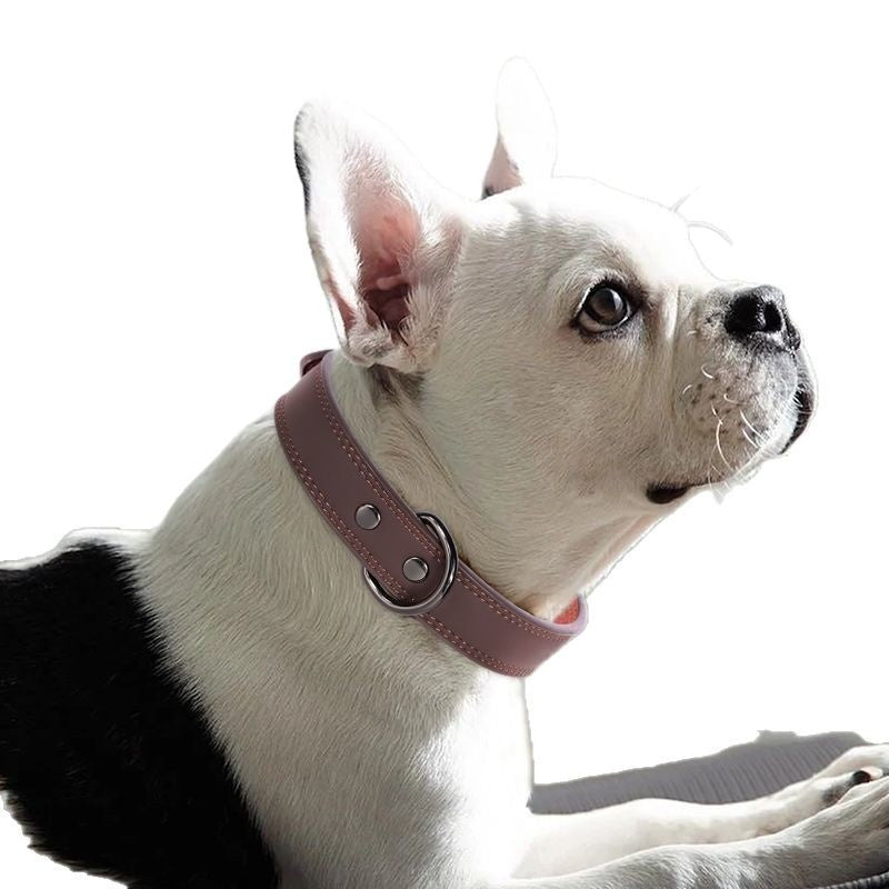 Medium Bell Anti-Lost Dog Collar
