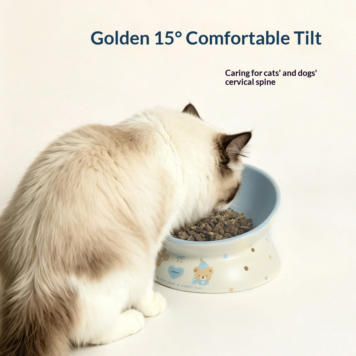 Large-Diameter Ceramic Pet Bowl With Sloped Rim