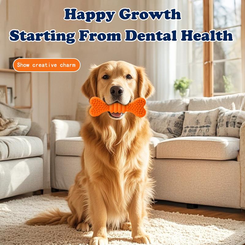 Dog Toothbrush Chew Toy Two-Pack