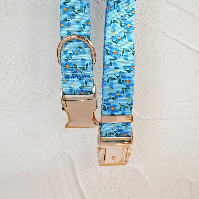 Hardware Buckle Dog Collar and Leash Set