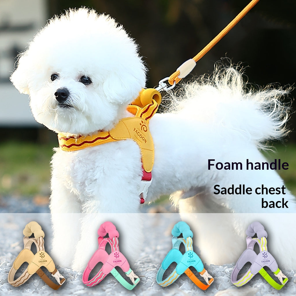 Cheerful Colorful Pet Harness