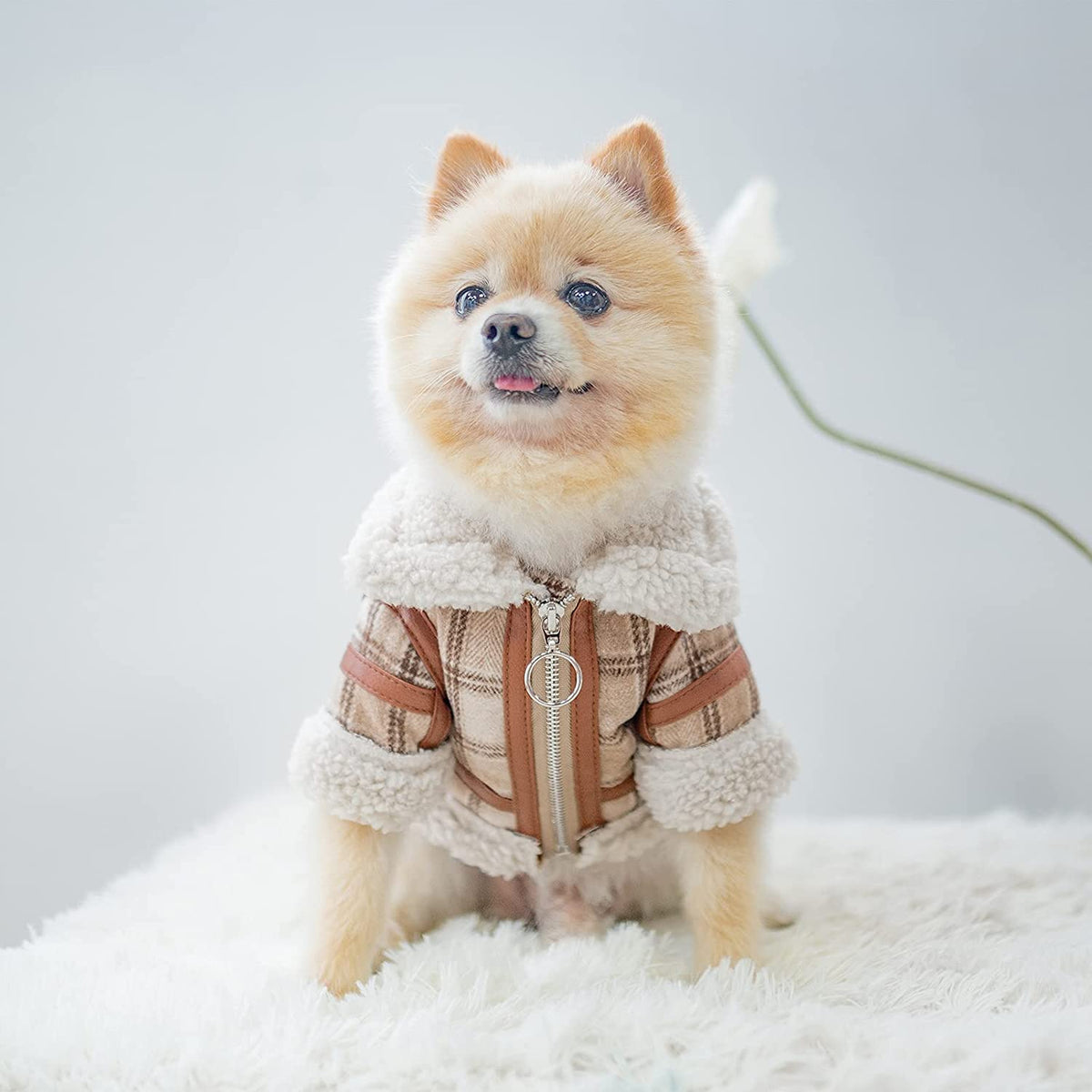 Warm Two-Legged Plaid Dog Clothes