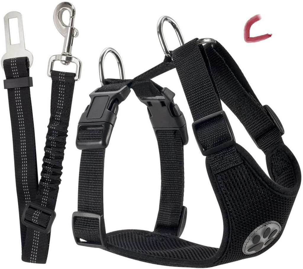 Reflective Dog Leash and Harness