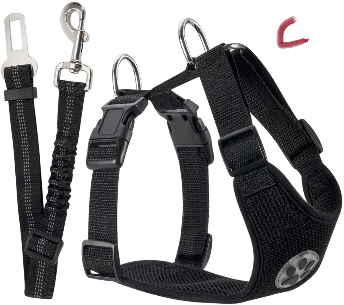 Reflective Dog Leash and Harness