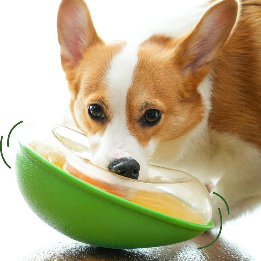 Anti-Tumble Avocado Pet Bowl