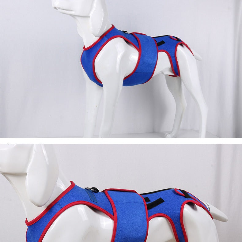 Dog Spine Support Anti-Hunch Jacket