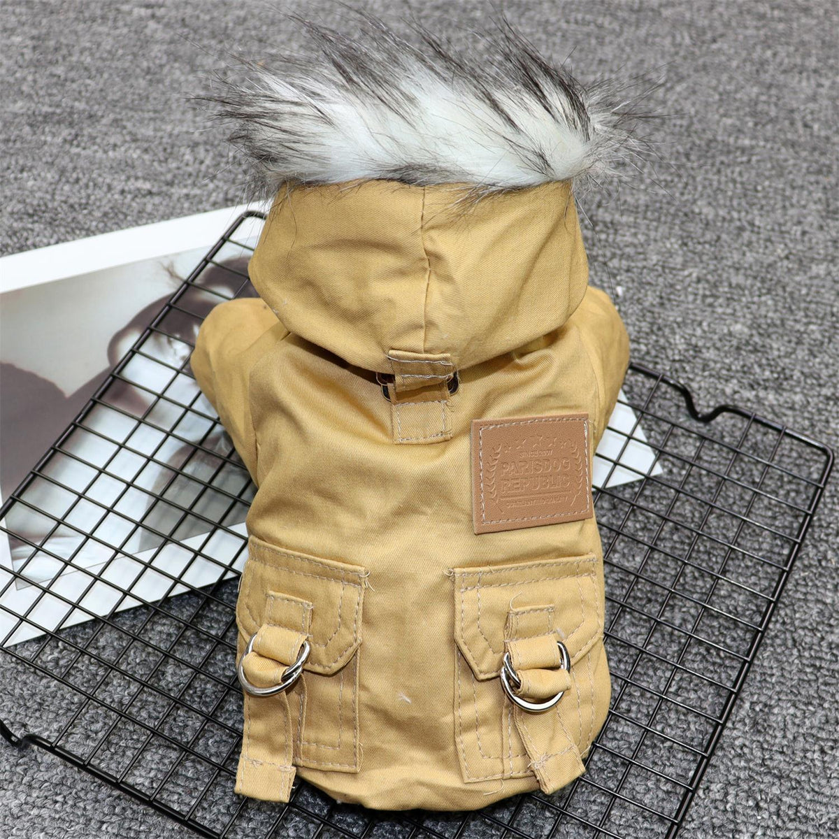 Padded Dog Coat For Small Dogs