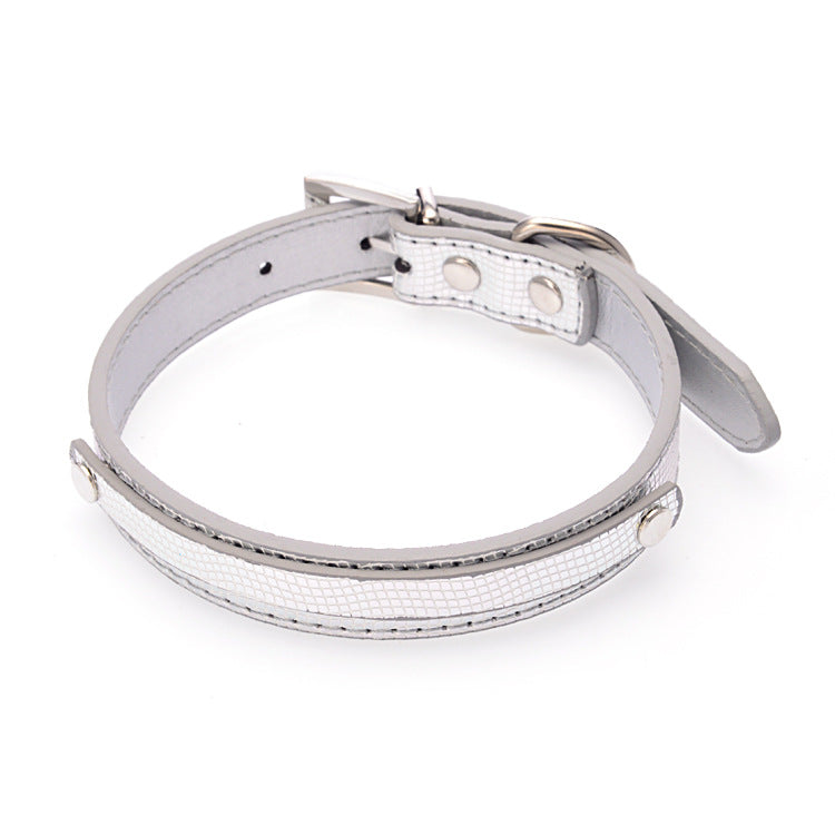 DIY Alphabet Dog Name Collar Accessory