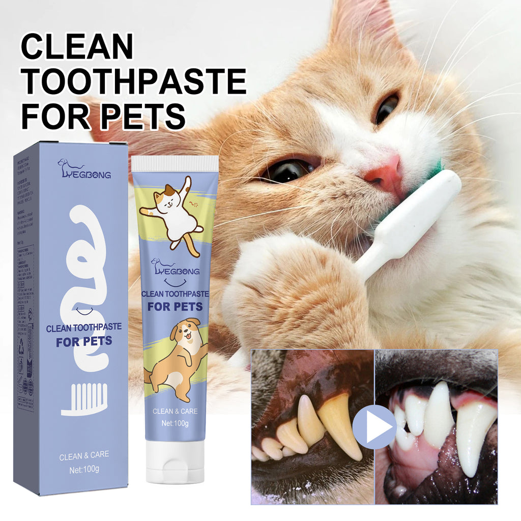 Pet Cleaning Toothpaste 1 0 0Ml-Box