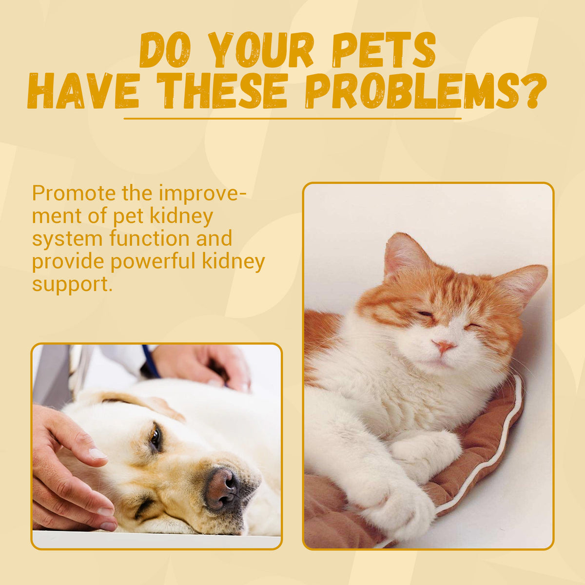 Pet Nutritional Supplement