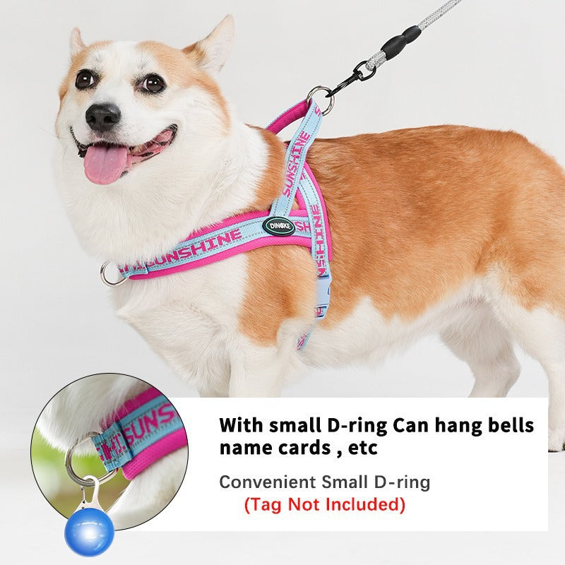 Corgi And Bichon Small-To-Medium Dog Harness
