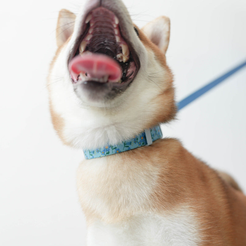 Lightweight Pet Collar with Blue Plastic Buckle
