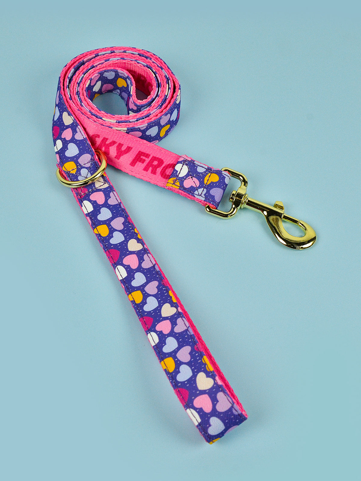 Valentine'S Day Love Pet Hand Holding Rope