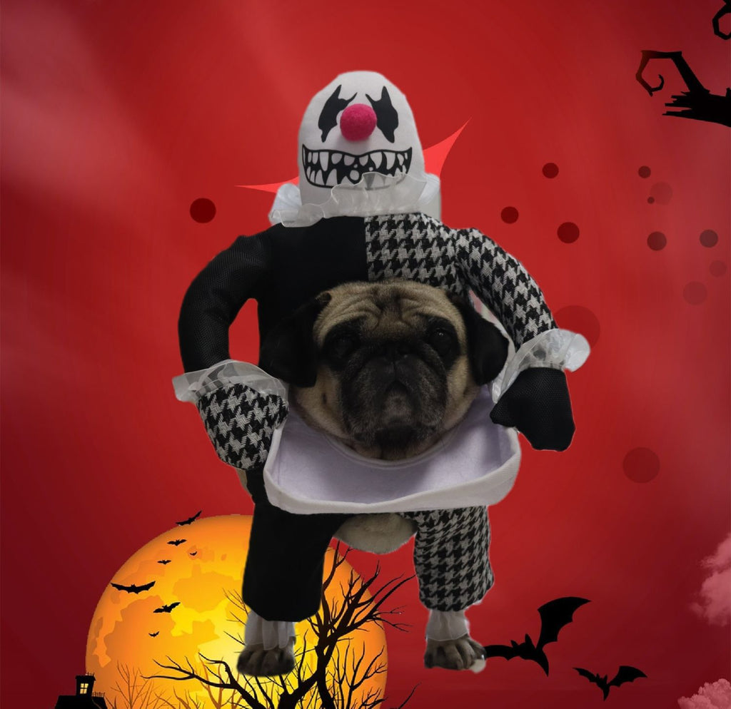 Pet Halloween Demon Transformation Costume