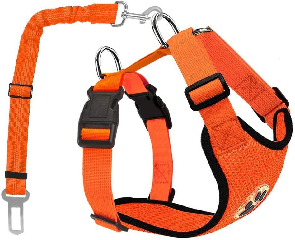 Reflective Dog Leash and Harness