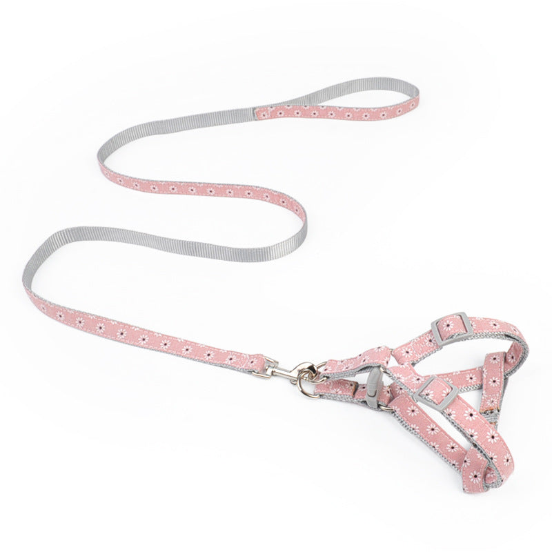 Walking The Dog With Traction Rope On Chest And Back