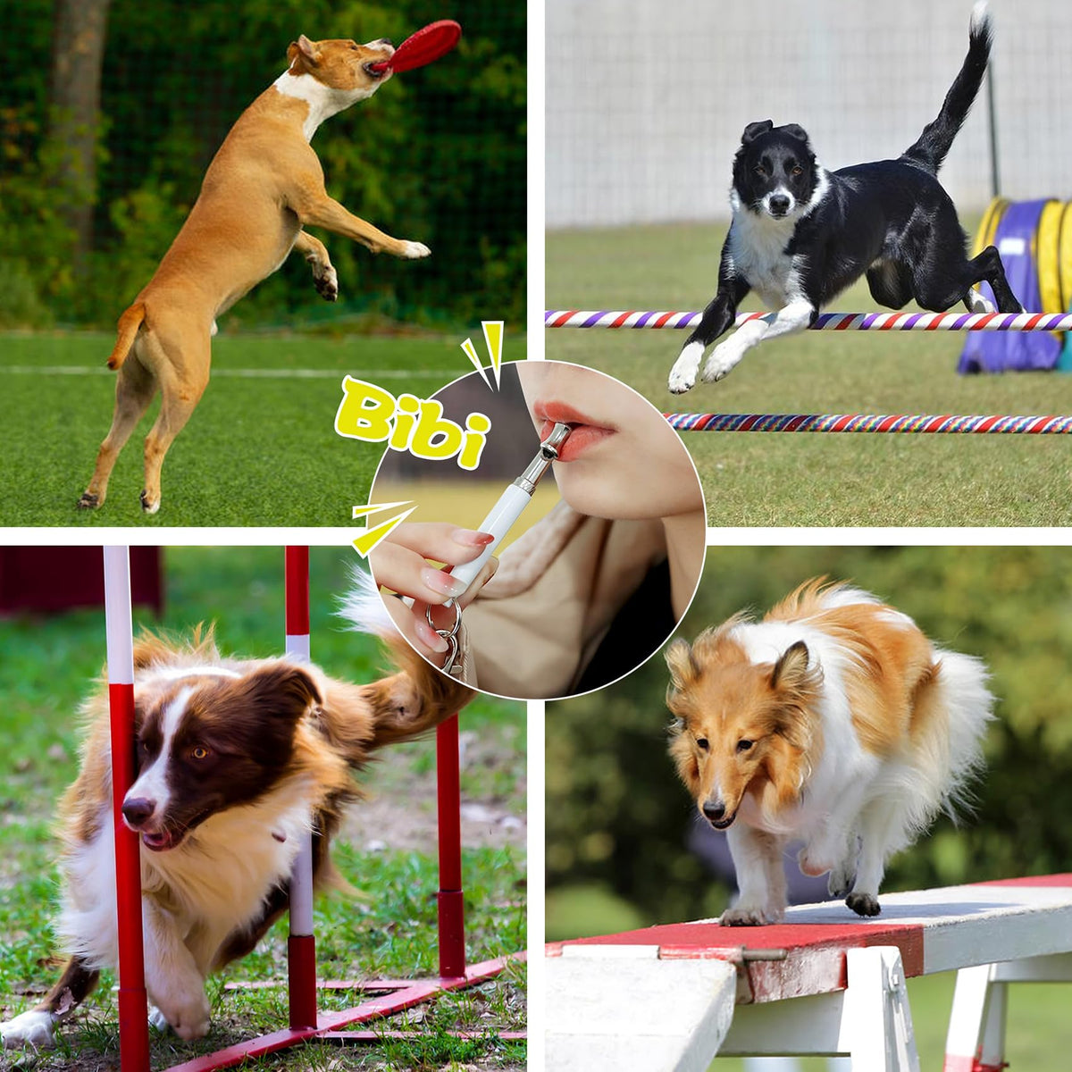 Adjustable Dog Training Whistle Two-Pack