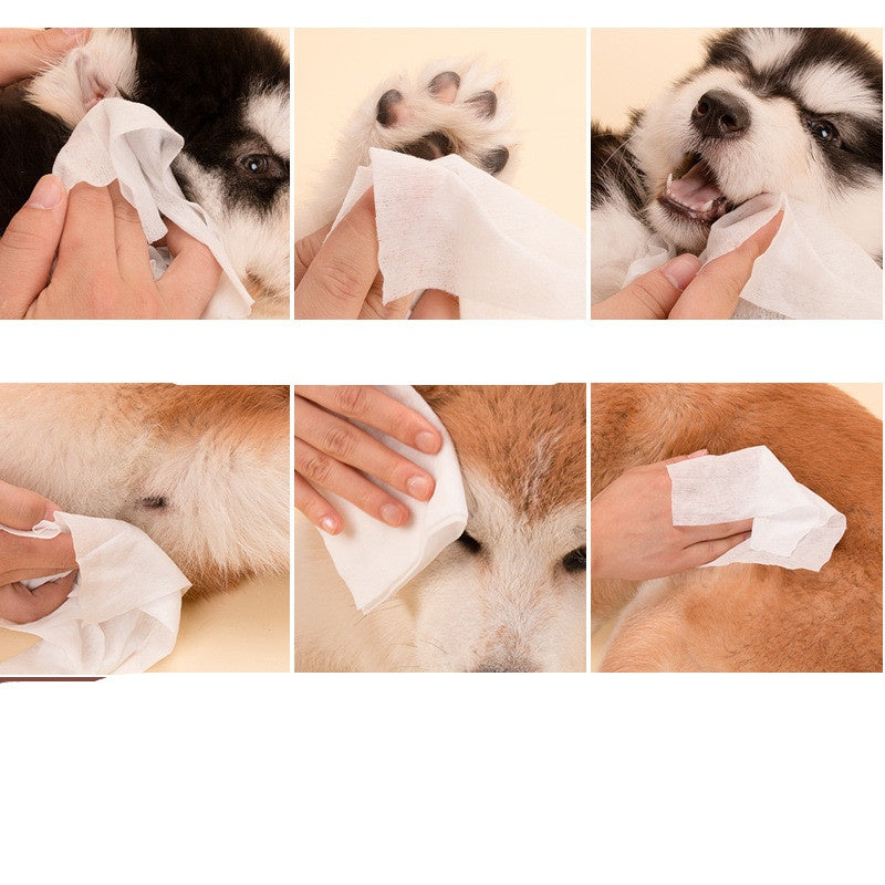 Pet Cleaning Wet Wipes