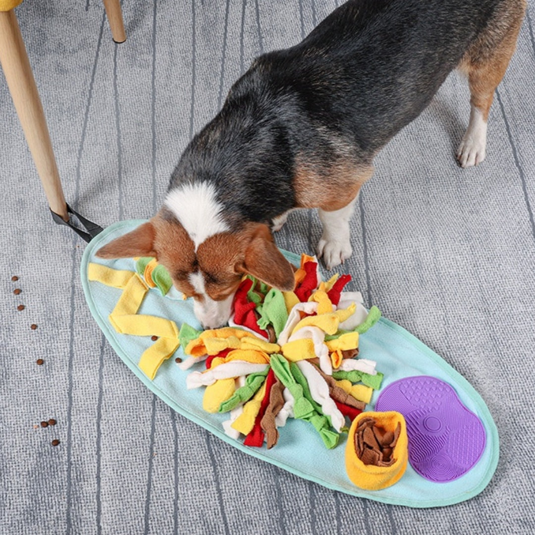 Dog Sniffing Mat Puzzle Toy