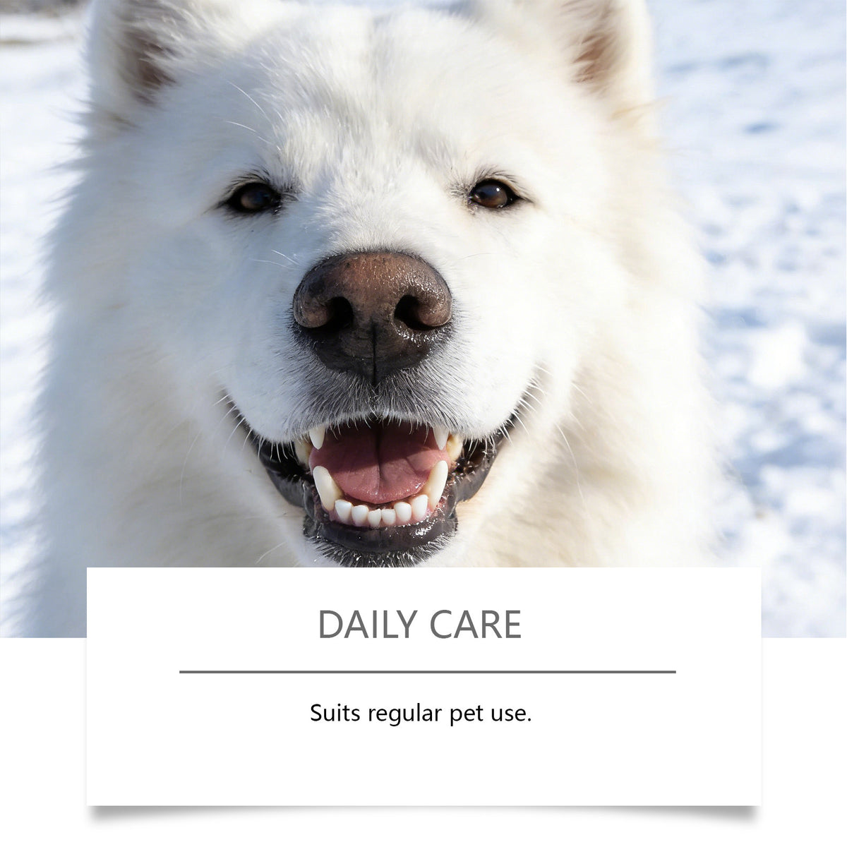 Pet Dental Finger Cots With Wipes