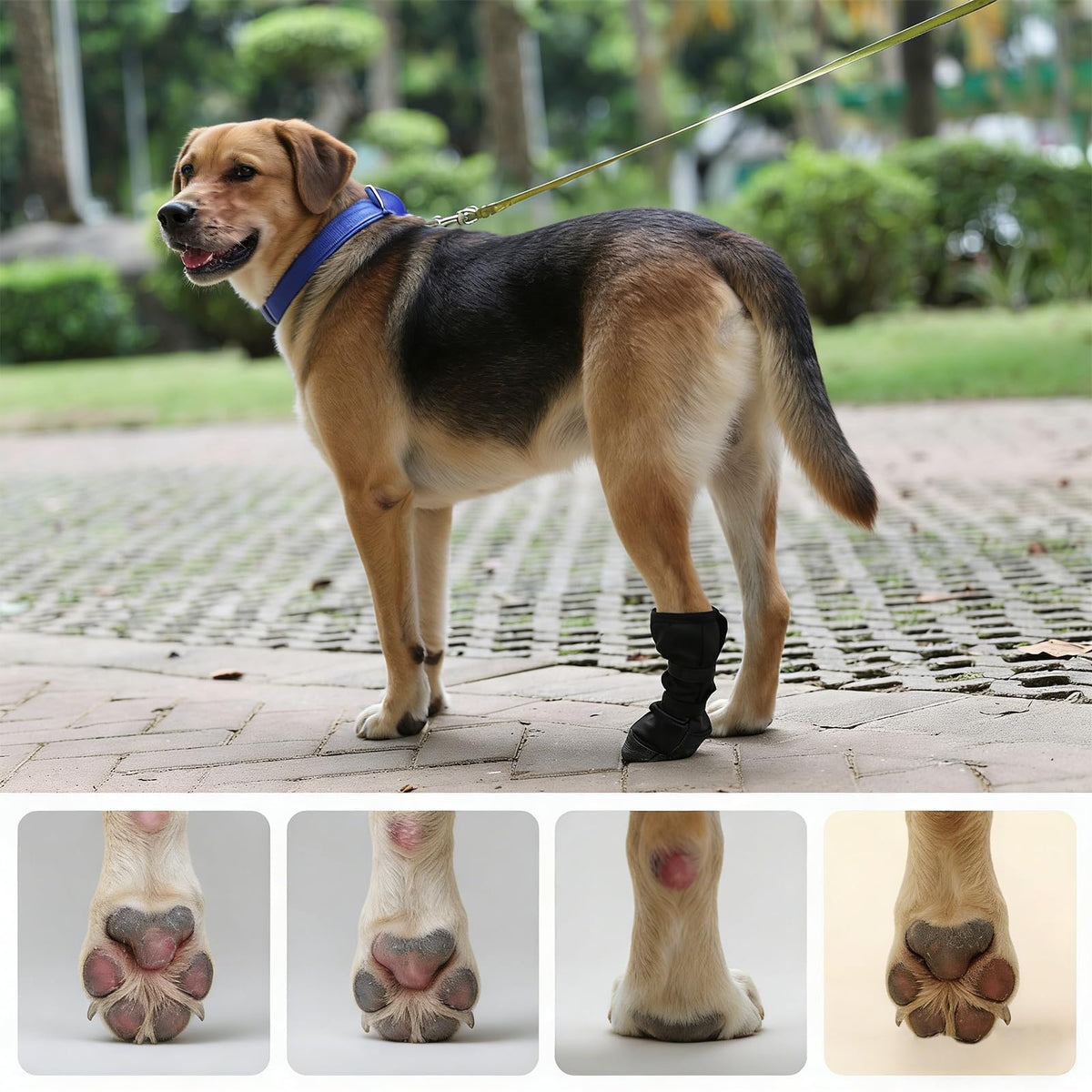 Dog Recovery Boot For Injured Paws - Breathable Dog Shoes With Non-Slip Sole & Self-Adhesive Strap, Dog Bootie To Protect Wounds From Lickin