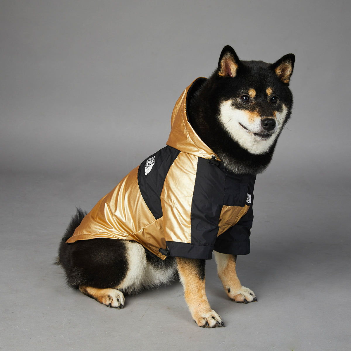 Windproof Rainproof Large Dog Raincoat Jacket