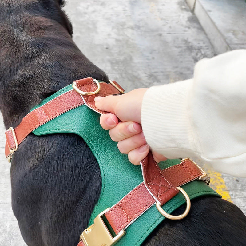 Leather Dog Harness And Leash