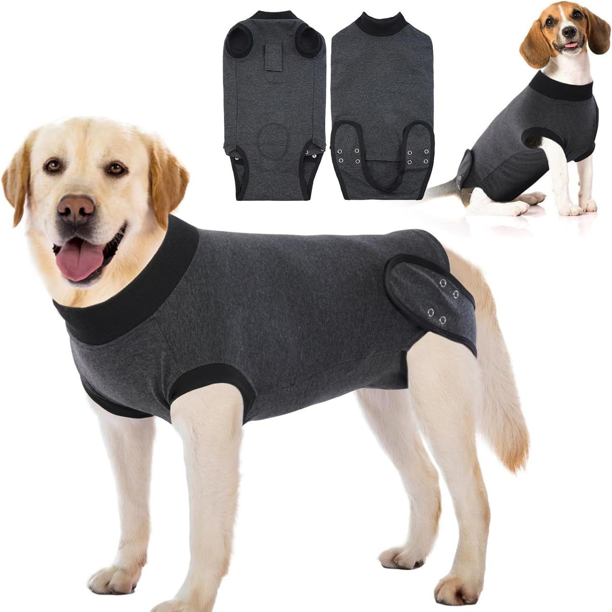 Soft Dog Recovery Suit After Surgery