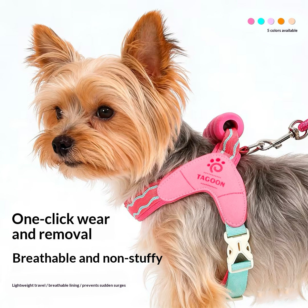 Cheerful Colorful Pet Harness