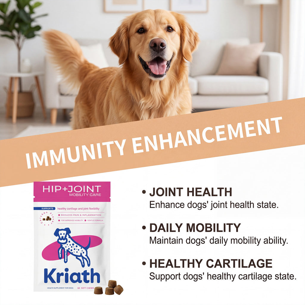 Daily Chewable Nutritional Tablets For Dogs