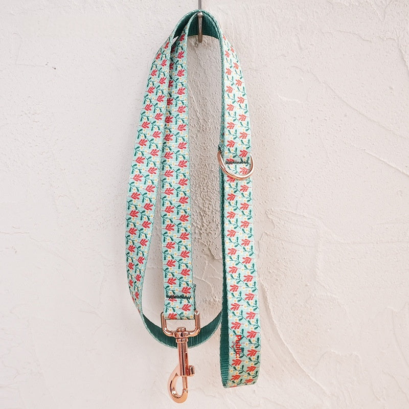 Soft Dog Collar and Leash Set