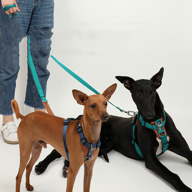 Dog Leash Explosion-Proof Puppies Type