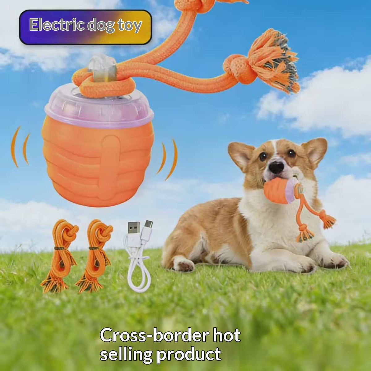 Electrically Attracted Bite-Resistant Pet Traction Ball