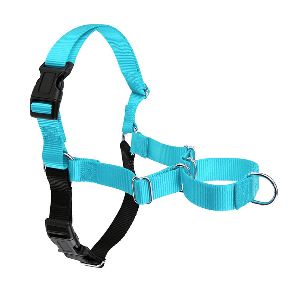 Dog Walking Collar