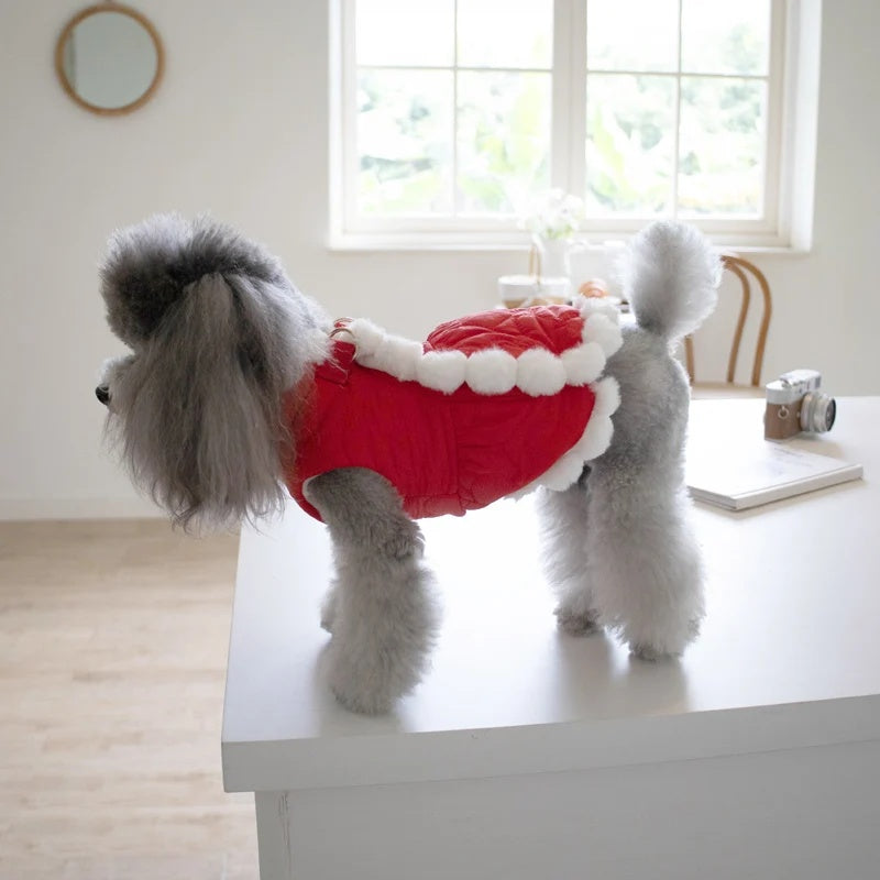 Red Chinese Knot Pet New Year Clothes