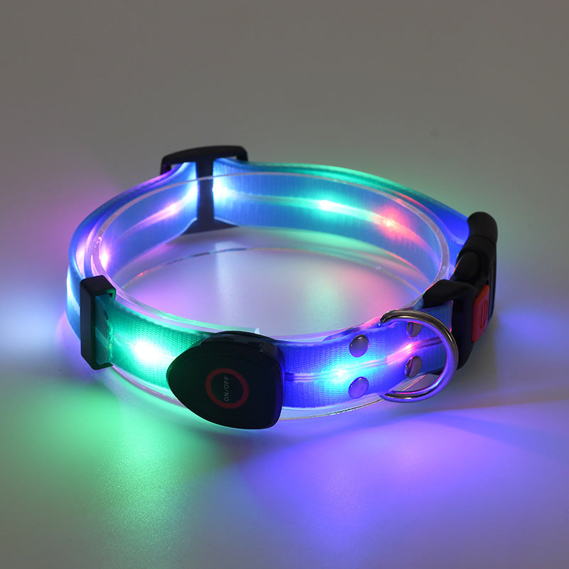 Rechargeable LED Collar and Nylon Leash