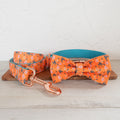 Cherry Pear Dog Collar And Leash