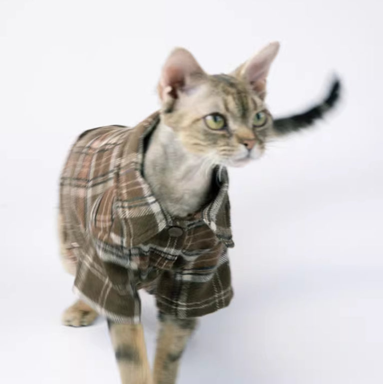 Cool Skin-Friendly Short-Sleeve Summer Cat T-Shirt