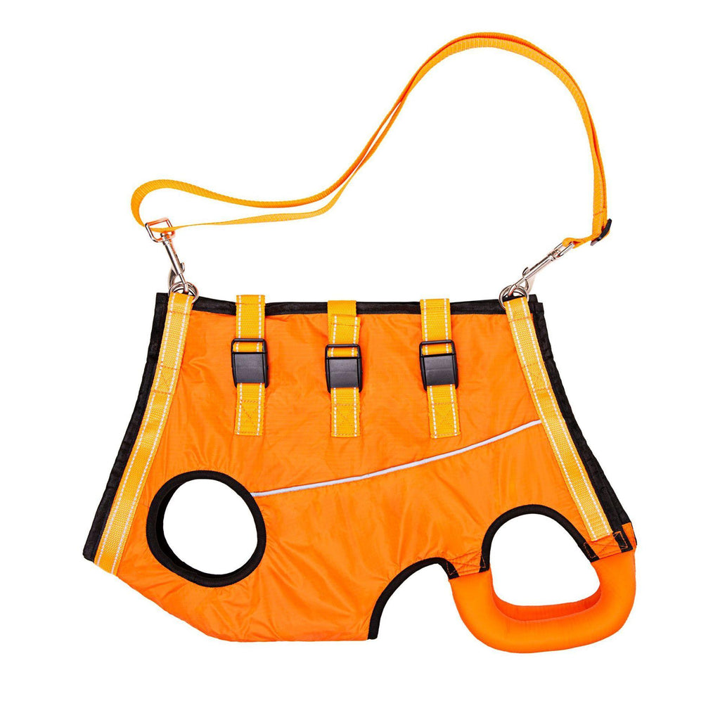 Elderly And Disabled Dogs Auxiliary Belt Auxiliary Clothing