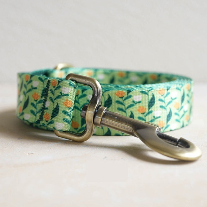 Pet Leash With Nylon-Like Webbing