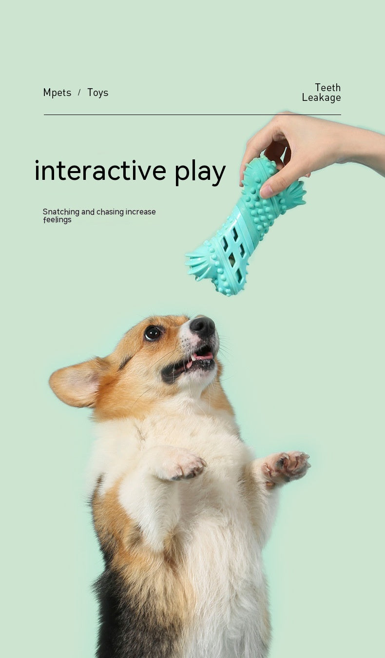 Dog Toy Food Leakage Molar Rod Outdoor Water Floating Toy