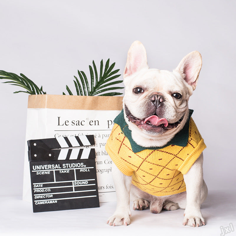 Cotton Dog Sweater