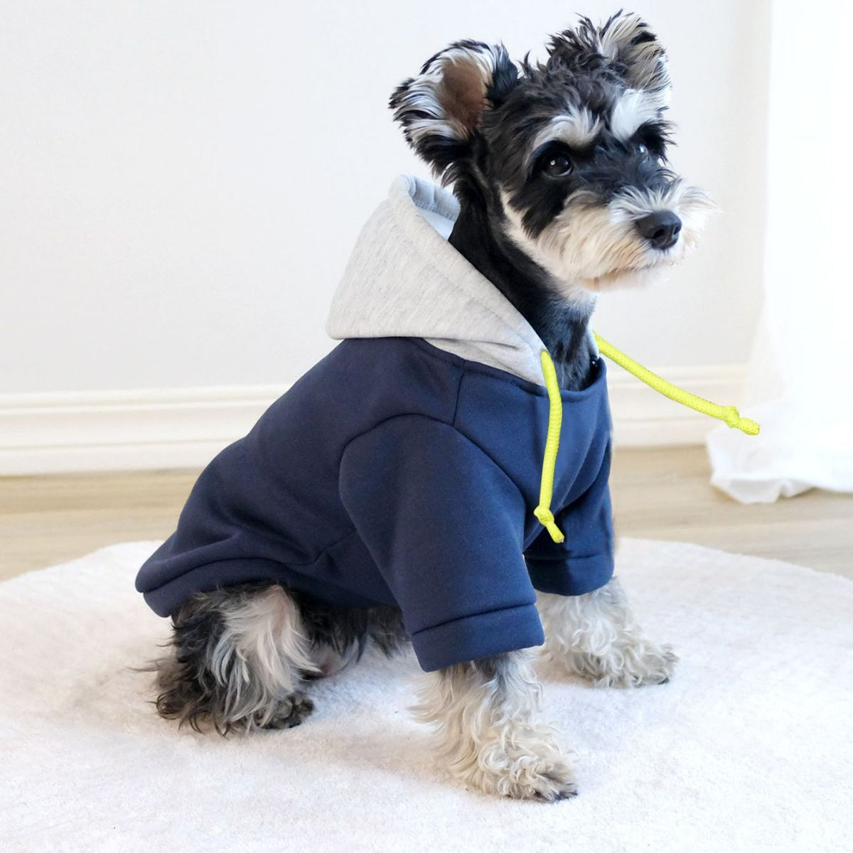 Simple Hooded Pet Pullover With Contrast Color