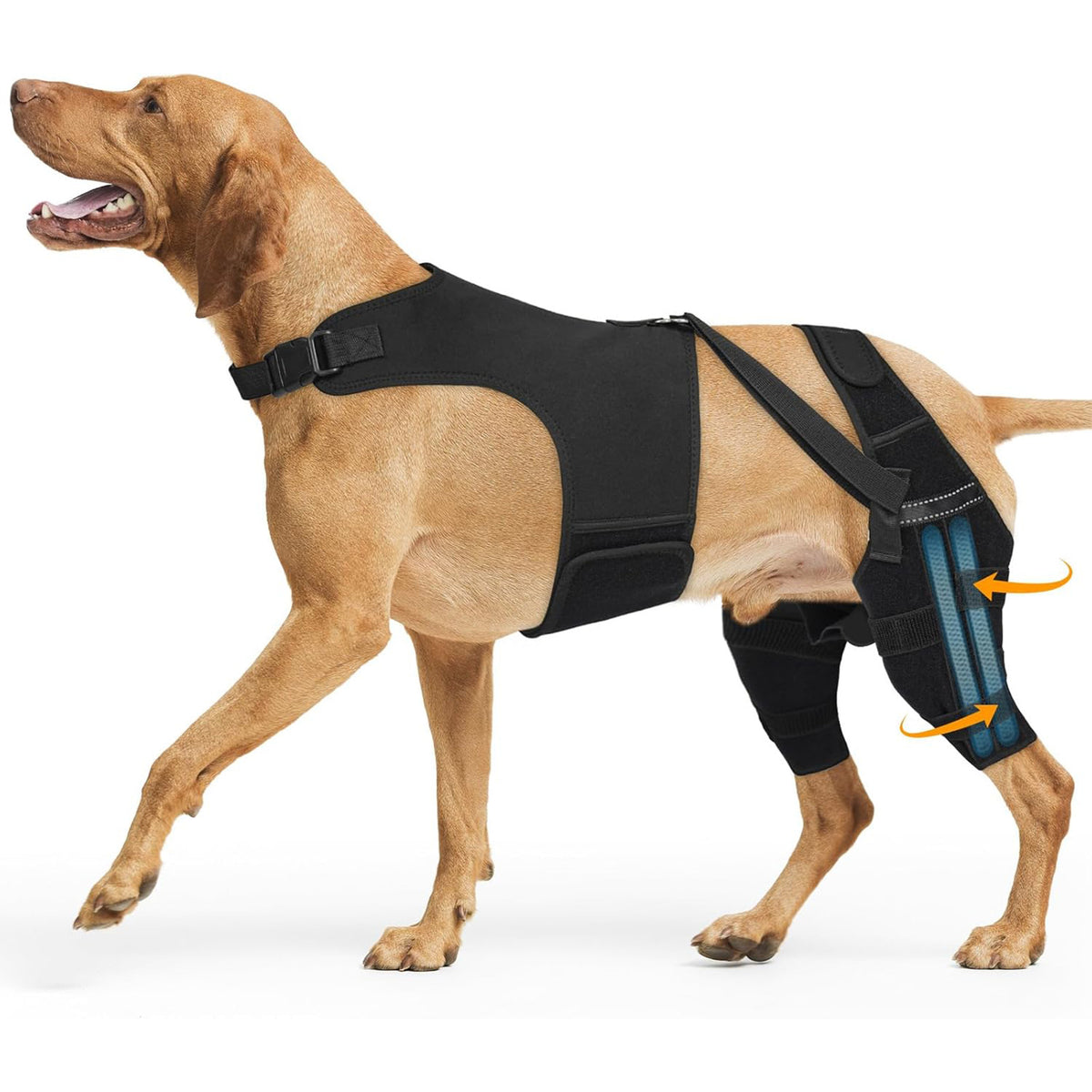 Pet Dog Rear Leg Protective Gear