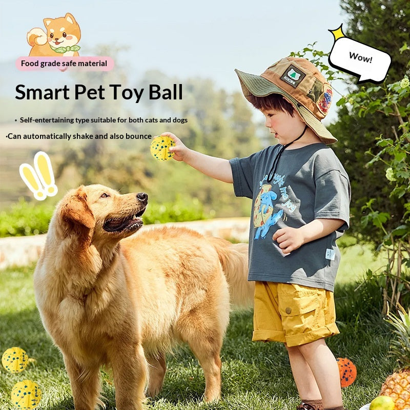 Electric Rolling Ball Dog Toy