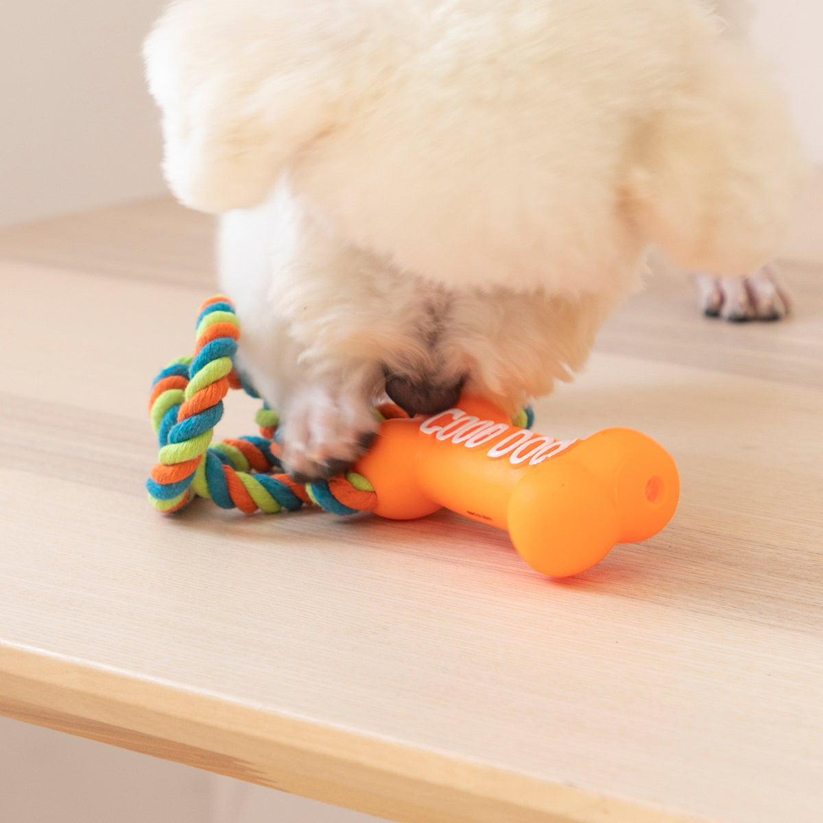 Pet Dog Biting Bone Modeling Toy Bite-Resistant Vocalization