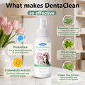 Dual-Use Plant-Based Oral Spray For Pets